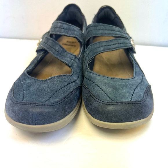 earth origins rapid troy